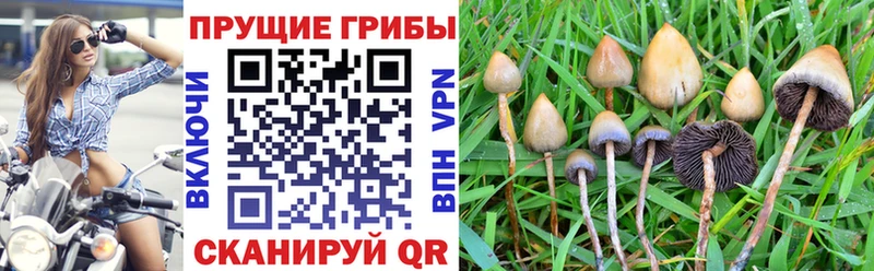МЕГА сайт  мориарти состав  Людиново  Галлюциногенные грибы Magic Shrooms  закладки 