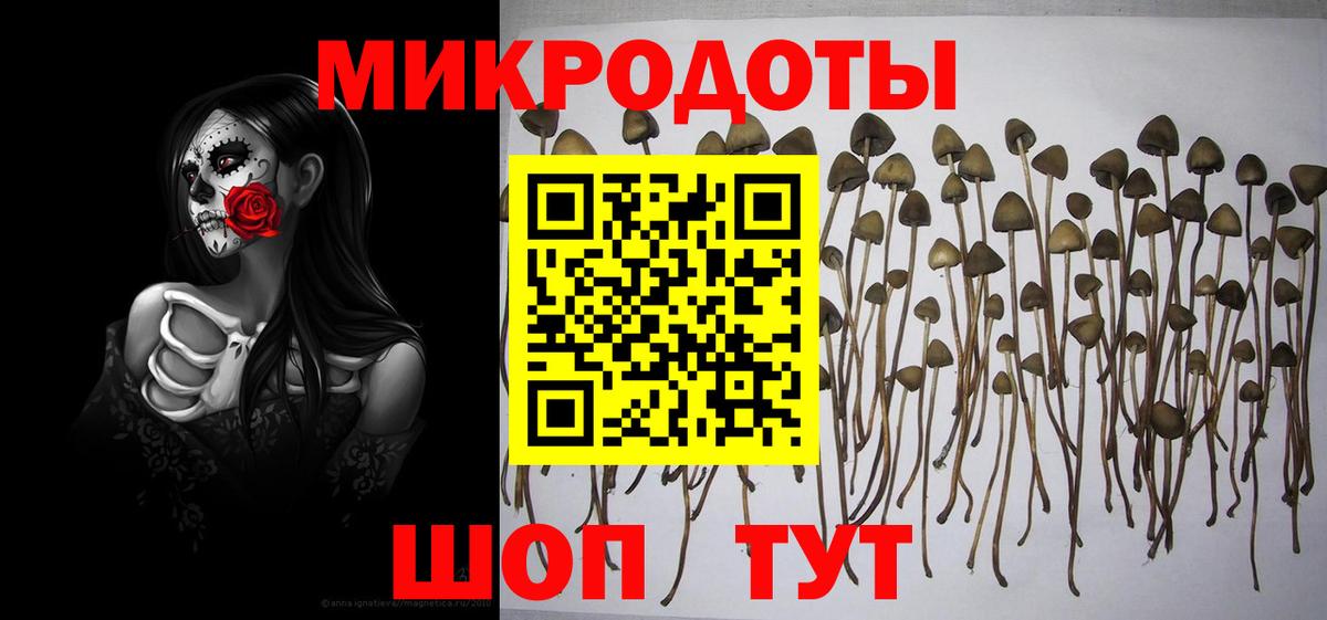 Галлюциногенные грибы Magic Shrooms Людиново